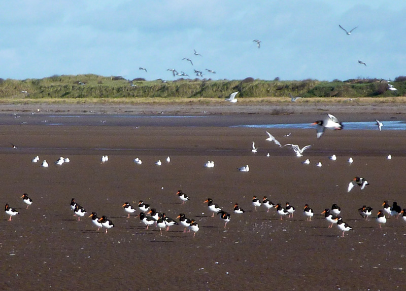 Beckfoot Beach